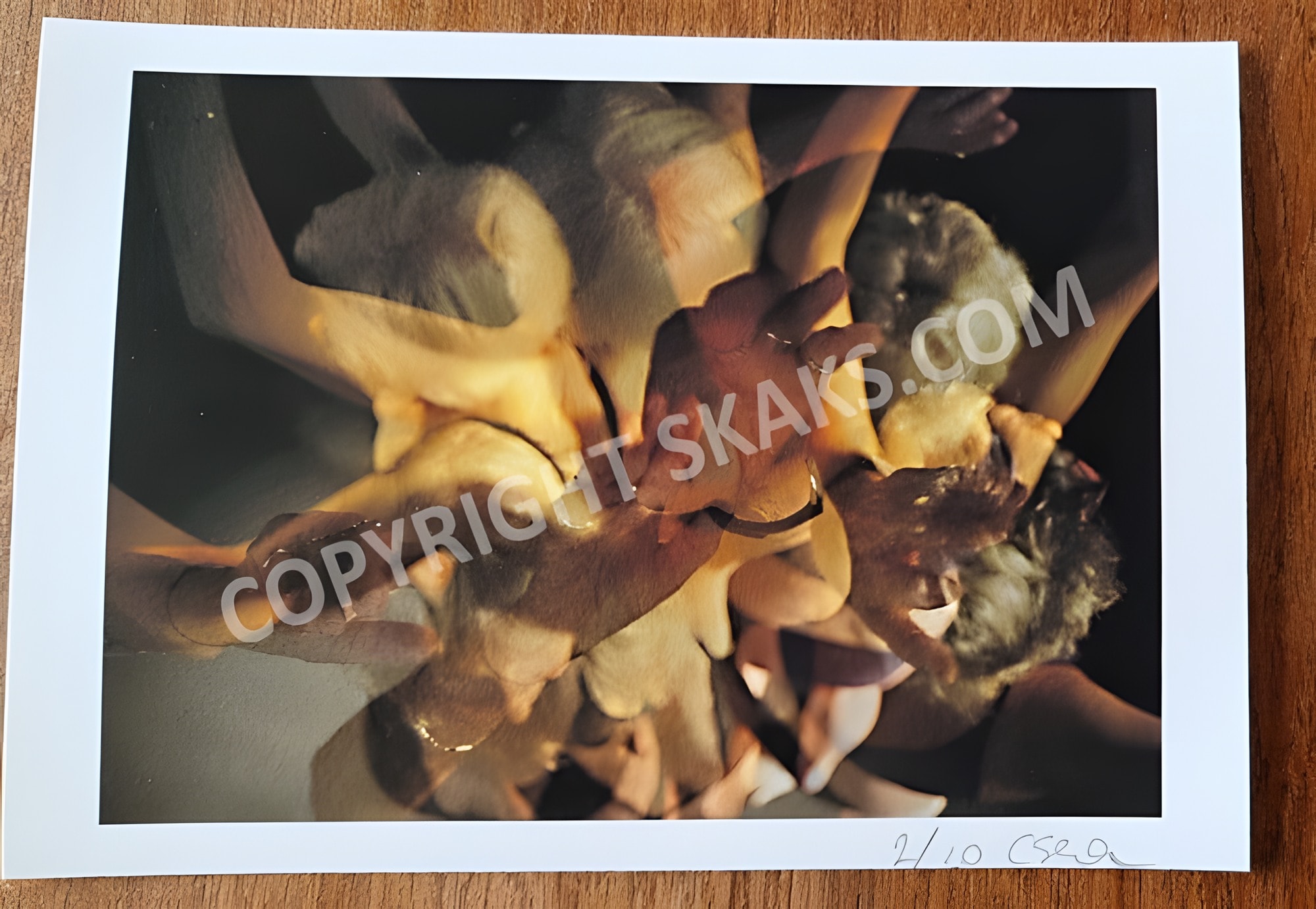 Æstetisk Redskab 2 – Prints – 1